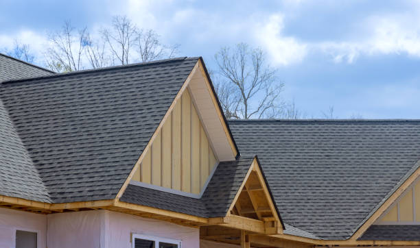 Best Skylight Installation and Repair  in Richmond, MI